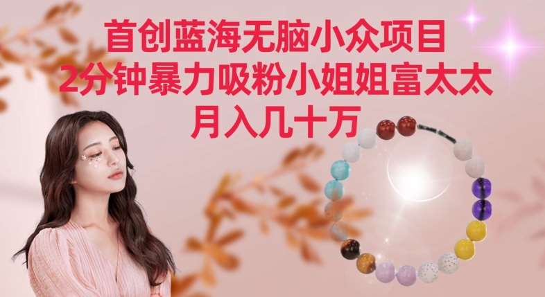 首创蓝海无脑小众项目，2分钟暴力吸粉小姐姐富太太，月入几十万【揭秘】|无忧资源社