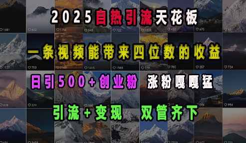2025自热引流天花板，一条视频能带来四位数的收益，引流+变现双管齐下，日引500+创业粉，涨粉嘎嘎猛|无忧资源社