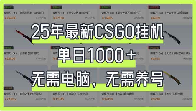 （14178期）25年最新CSGO挂机系统，单日1000+，无需电脑，无需养号，0基础可上手|无忧资源社
