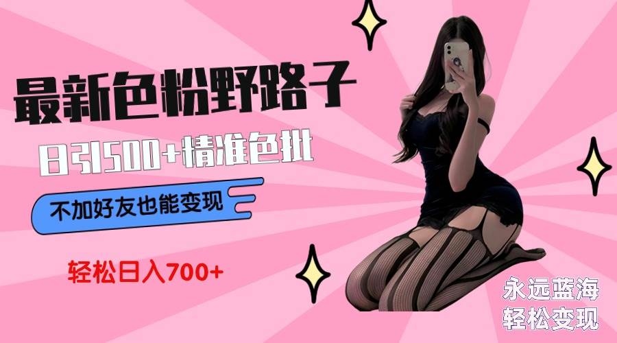 （9119期）最新色粉变现野路子，日引500+老色批 可不加好友直接变现 小白轻松日入700+|无忧资源社