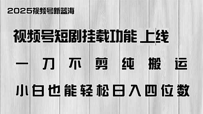 （14310期）视频号短剧挂载功能上线，一刀不剪纯搬运，小白也能轻松日入四位数|无忧资源社