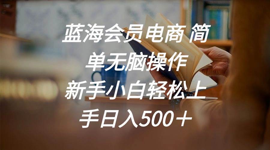 （11068期）蓝海会员电商 简单无脑操作 新手小白轻松上手日入500＋|无忧资源社