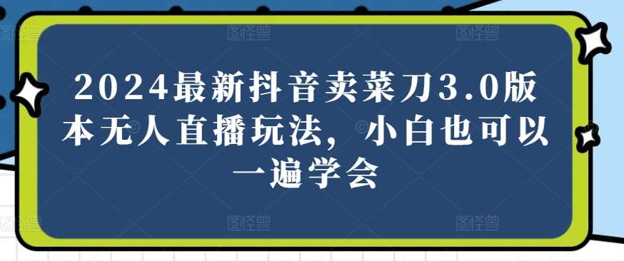 2024最新抖音卖菜刀3.0版本无人直播玩法，小白也可以一遍学会【揭秘】|无忧资源社
