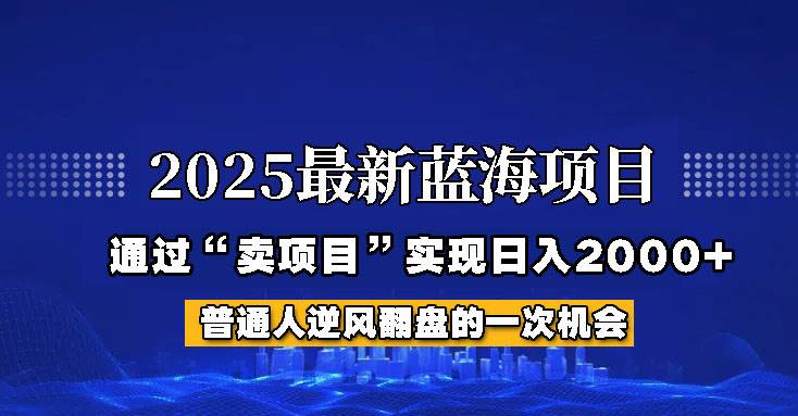 2025年蓝海项目，如何通过“网创项目”日入2000+|无忧资源社