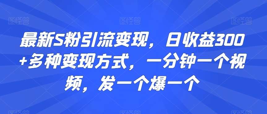 最新S粉引流变现，日收益300+多种变现方式，一分钟一个视频，发一个爆一个【揭秘】|无忧资源社