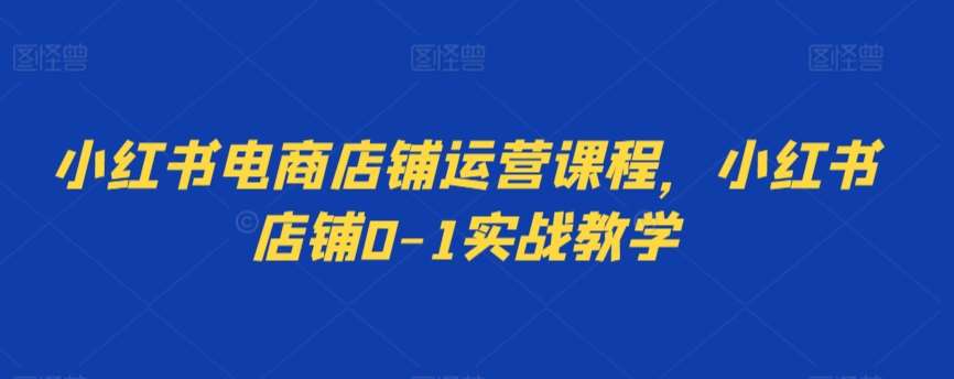 小红书电商店铺运营课程，小红书店铺0-1实战教学|无忧资源社