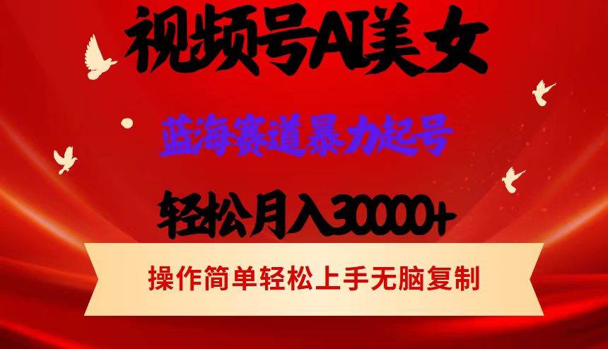 （12178期）视频号AI美女跳舞，轻松月入30000+，蓝海赛道，流量池巨大，起号猛，当…|无忧资源社