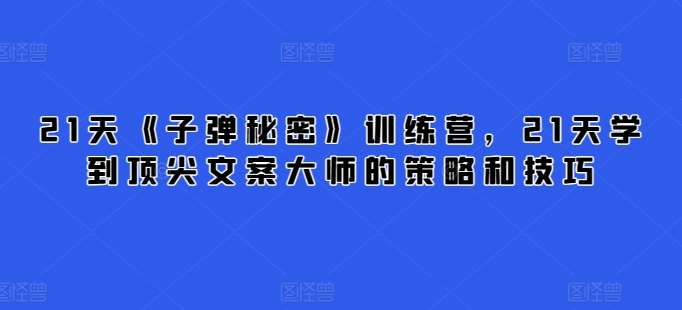 21天《子弹秘密》训练营，21天学到顶尖文案大师的策略和技巧|无忧资源社