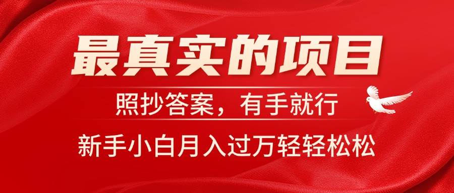 （11362期）最真实的项目，照抄答案，有手就行，新手小白月入过万轻轻松松|无忧资源社