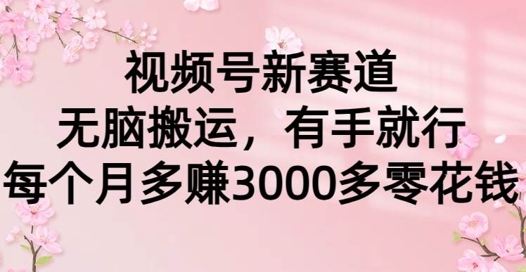 （9278期）视频号新赛道，无脑搬运，有手就行，每个月多赚3000多零花钱|无忧资源社