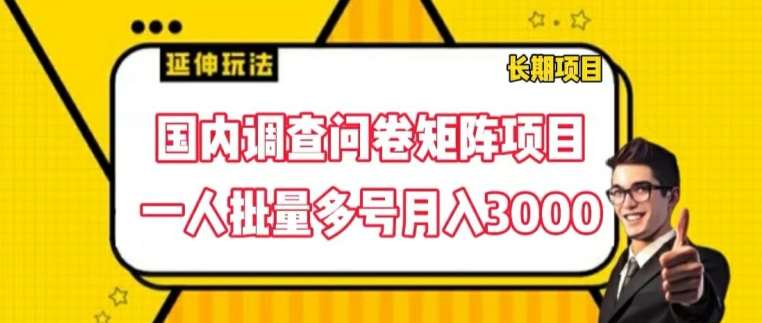 国内调查问卷矩阵项目，一人批量多号月入3000【揭秘】|无忧资源社