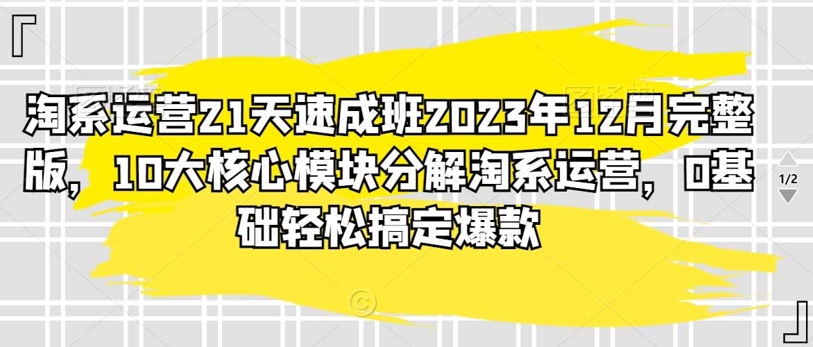 淘系运营21天速成班2023年12月完整版，10大核心模块分解淘系运营，0基础轻松搞定爆款|无忧资源社