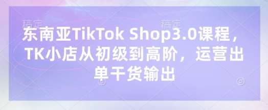东南亚TikTok Shop3.0课程，TK小店​从初级到高阶，运营出单干货输出|无忧资源社