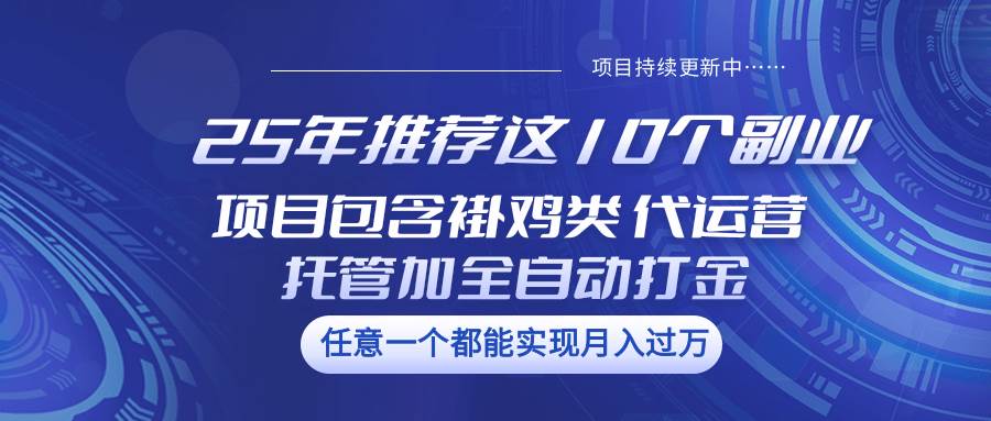 25年推荐这10个副业 项目包含褂鸡类、代运营托管类、全自动打金类|无忧资源社