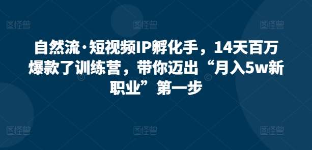 自然流·短视频IP孵化手，14天百万爆款了训练营，带你迈出“月入5w新职业”第一步|无忧资源社