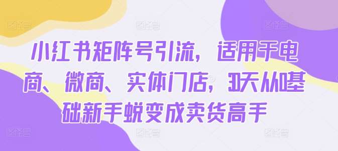 小红书矩阵号引流，适用于电商、微商、实体门店，30天从0基础新手蜕变成卖货高手|无忧资源社