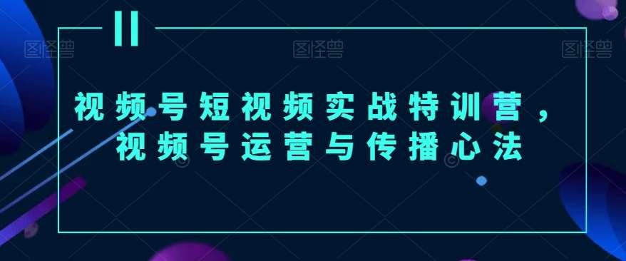 视频号短视频实战特训营，视频号运营与传播心法|无忧资源社