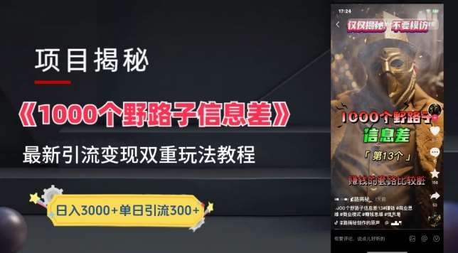 一千个野路子信息差最新玩法教程-变现+引流的玩法具体拆解【揭秘】|无忧资源社