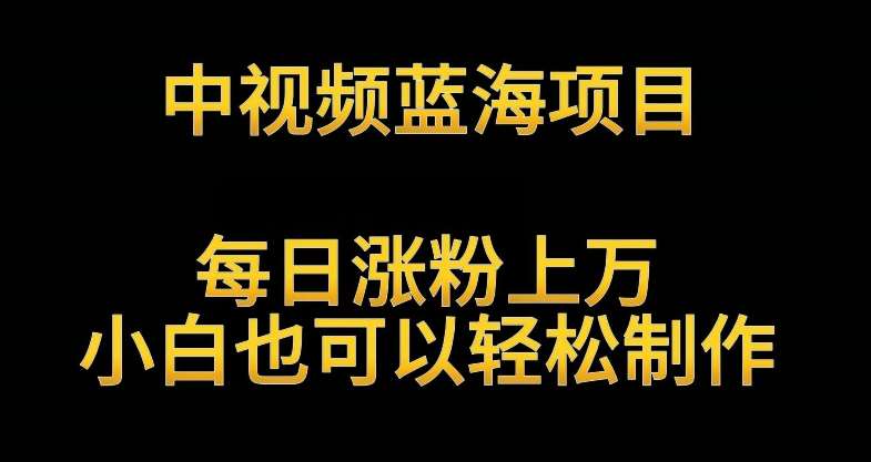 中视频蓝海项目，解读英雄人物生平，每日涨粉上万，小白也可以轻松制作，月入过万不是梦【揭秘】|无忧资源社