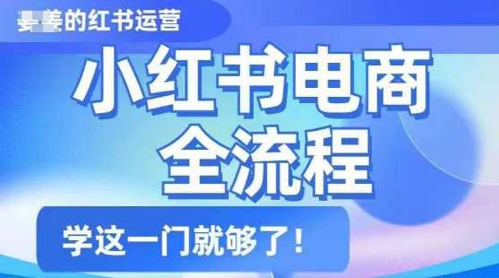 小红书电商全流程，精简易懂，从入门到精通，学这一门就够了|无忧资源社