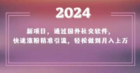 2024新项目，通过国外社交软件，快速涨粉精准引流，轻松做到月入上万【揭秘】|无忧资源社