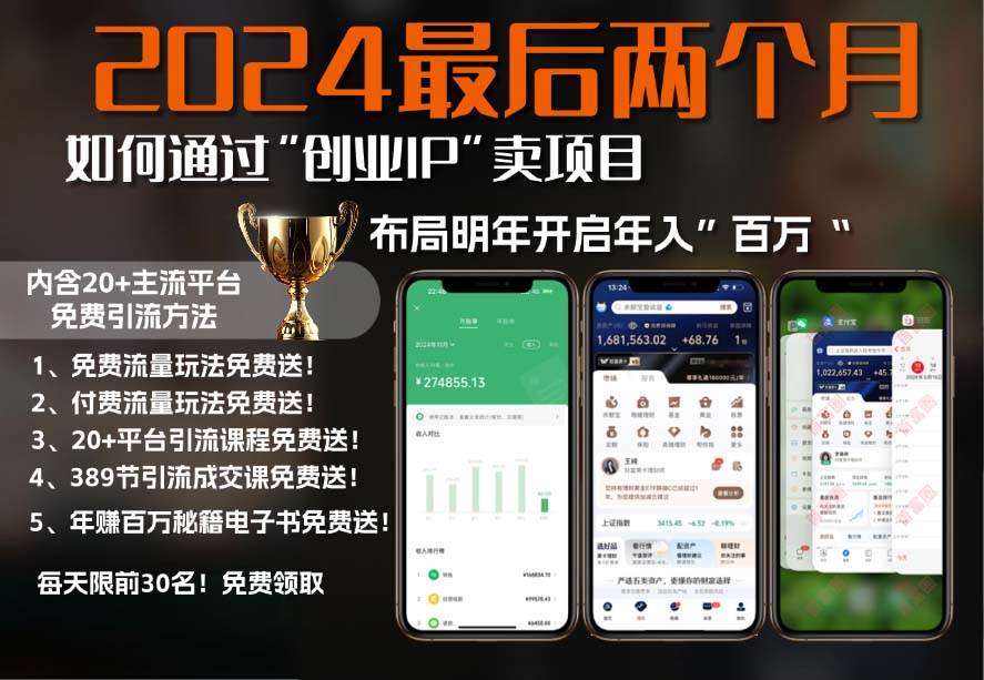 （13322期）2024最后两个月如何通过”创业IP“卖项目年入”百万“,创业IP+最强引流…|无忧资源社