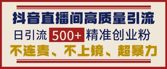 抖音直播间引流创业粉，无需连麦、不用上镜、超暴力，日引流500+高质量精准创业粉|无忧资源社