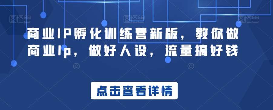 商业IP孵化训练营新版，教你做商业Ip，做好人设，流量搞好钱|无忧资源社