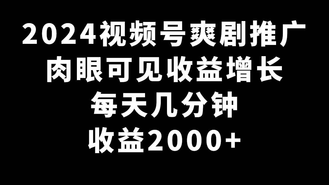 （9028期）2024视频号爽剧推广，肉眼可见的收益增长，每天几分钟收益2000+|无忧资源社