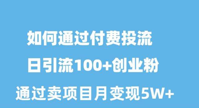 （10189期）如何通过付费投流日引流100+创业粉月变现5W+|无忧资源社