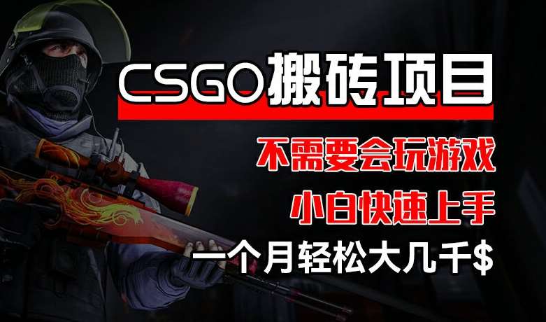 CSGO 装备搬砖项目，操作简单，不需要会玩游戏，小白也能快速上手，一个月轻松大几千【揭秘】|无忧资源社