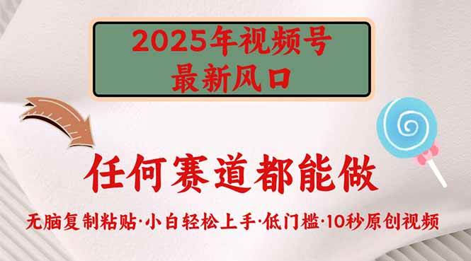 （14453期）2025年视频号新风口，低门槛只需要无脑执行|无忧资源社