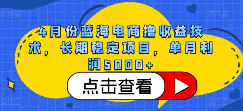4月份蓝海电商撸收益技术，长期稳定项目，单月利润5000+【揭秘】|无忧资源社