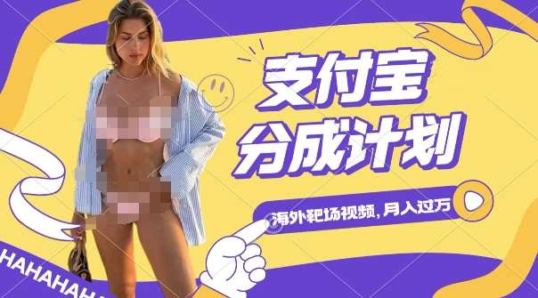 利用海外靶场射击视频，挣支付宝分成收益，轻松月入过W【揭秘】|无忧资源社
