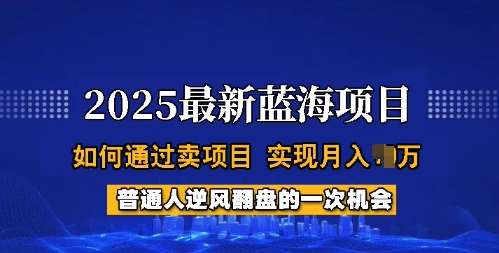 2025蓝海项目，普通人如何通过卖项目，实现月入过W，全过程【揭秘】|无忧资源社