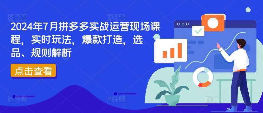 2024年7月拼多多实战运营现场课程，实时玩法，爆款打造，选品、规则解析|无忧资源社