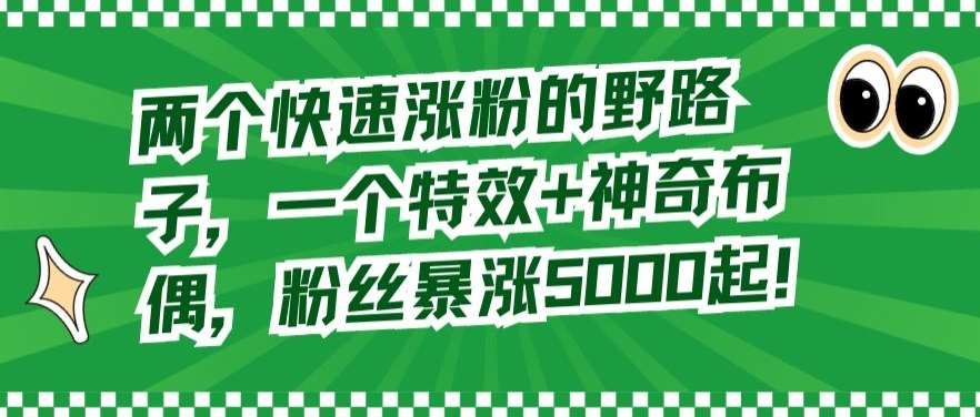 两个快速涨粉的野路子，一个特效+神奇布偶，粉丝暴涨5000起【揭秘】|无忧资源社