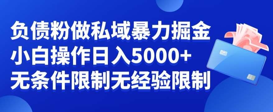 负债粉私域暴力掘金，小白操作入5000，无经验限制，无条件限制【揭秘】|无忧资源社