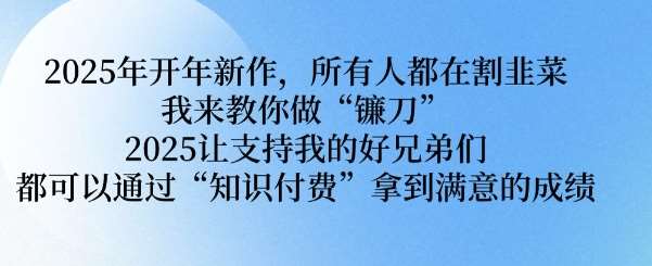 2025年开年新作，所有人都在割韭菜，我来教你做“镰刀” 2025让支持我的好兄弟们都可以通过“知识付费”拿到满意的成绩【揭秘】|无忧资源社