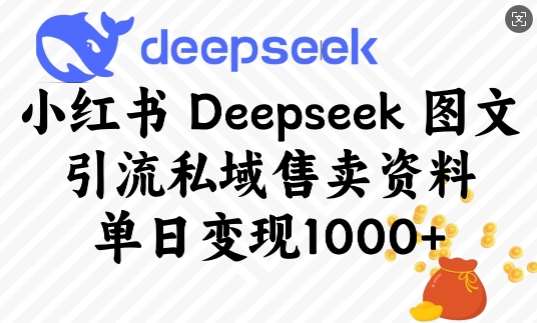 小红书Deepseek图文引流私域售卖资料，单日变现多张|无忧资源社