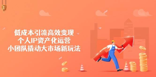 低成本引流高效变现，个人IP资产化运营，小团队撬动大市场新玩法|无忧资源社