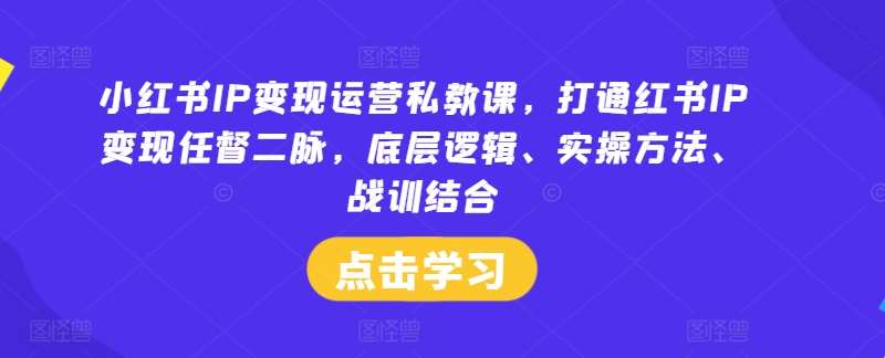 小红书IP变现运营私教课，打通红书IP变现任督二脉，底层逻辑、实操方法、战训结合|无忧资源社