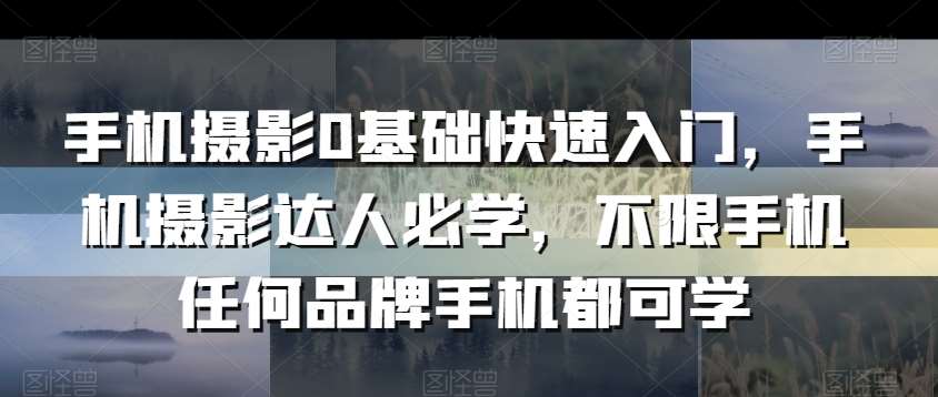 手机摄影0基础快速入门，手机摄影达人必学，不限手机任何品牌手机都可学|无忧资源社