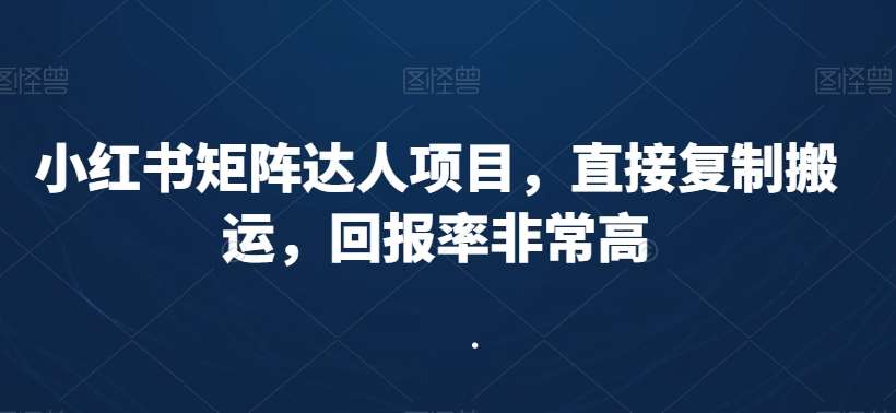 小红书矩阵达人项目，直接复制搬运，回报率非常高|无忧资源社