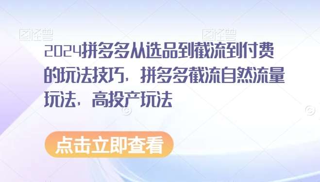 2024拼多多从选品到截流到付费的玩法技巧，拼多多截流自然流量玩法，高投产玩法|无忧资源社