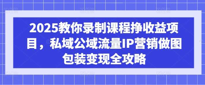2025教你录制课程挣收益项目，私域公域流量IP营销做图包装变现全攻略|无忧资源社