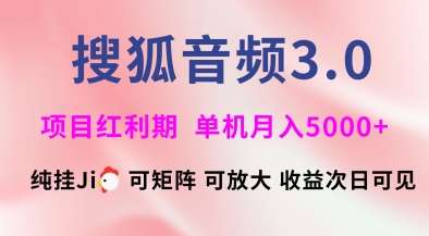 搜狐音频挂ji3.0.可矩阵可放大，独家技术，稳定月入5000+【揭秘】|无忧资源社