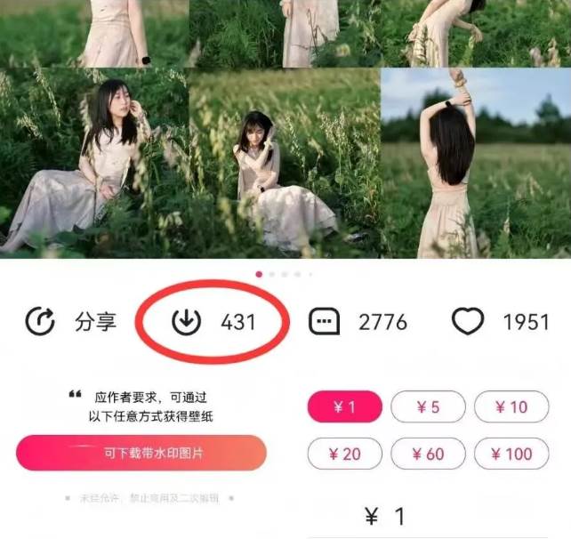 图片[2]|最新图虫搬运项目，收益无上限，利用AI小白也可日赚500+|无忧资源社