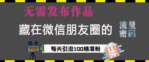 藏在微信朋友圈的流量密码，无需发布作品，单日引流100+精准创业粉【揭秘】|无忧资源社