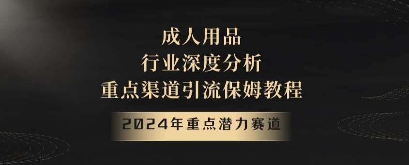 2024年重点潜力赛道，成人用品行业深度分析，重点渠道引流保姆教程【揭秘】|无忧资源社